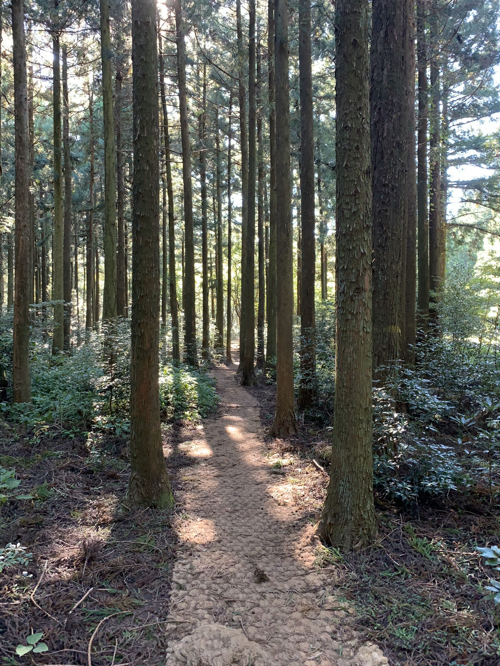 제주도 여행 마지막 날.. | 인스티즈