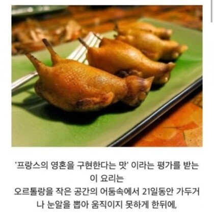 신이 모르게 몰래 먹는 프랑스 요리 '오르톨랑' | 인스티즈