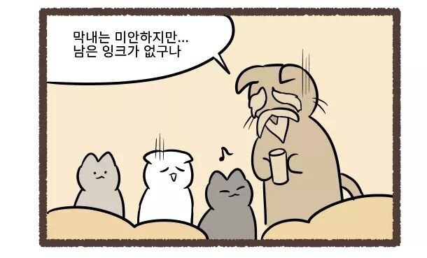 고양이의 털색이 정해지는 방법 | 인스티즈