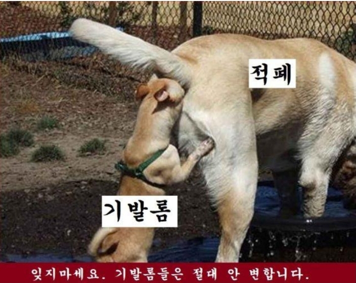 3.3보다 1.2가 더 크다는 어느 기레기 | 인스티즈