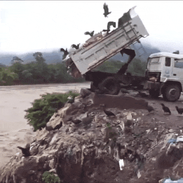 페루에서 쓰레기를 처리하는 방법.gif | 인스티즈