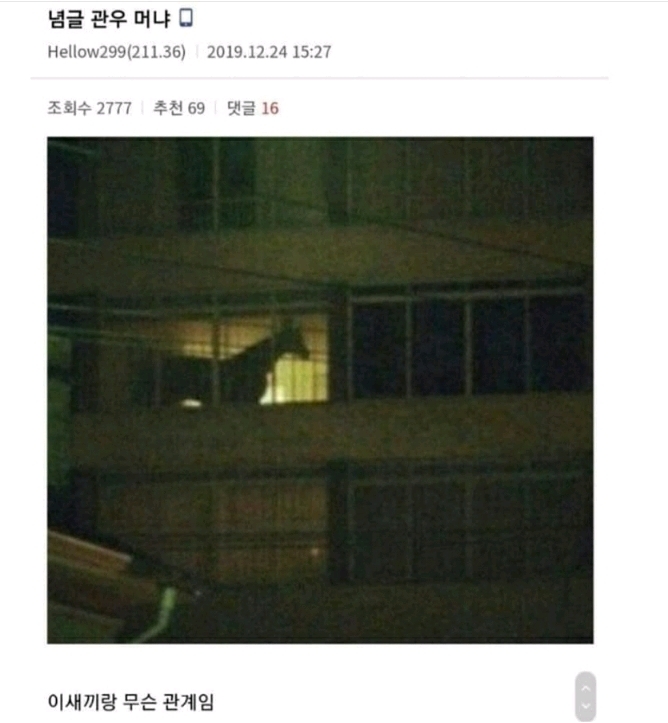 우리 아파트 앞집에 관우 사는거같다.jpg | 인스티즈