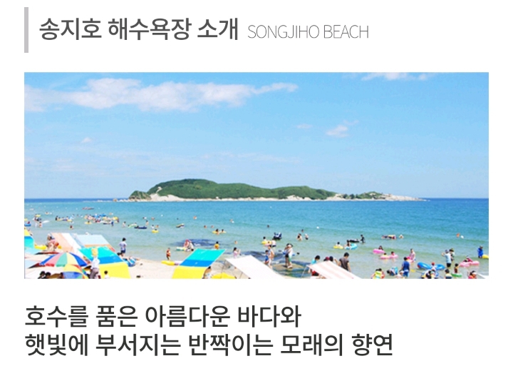 송지호 해수욕장에서 물놀이하는 사진 | 인스티즈