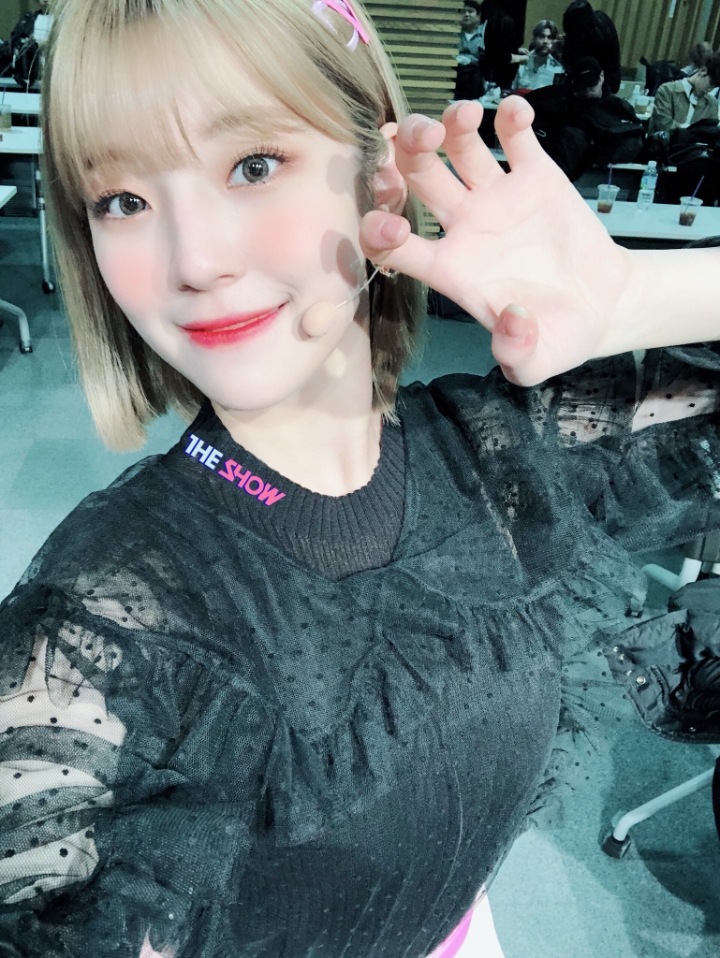 음악방송 녹화때마다 팬들 응원소리 버프시키는 백지헌 | 인스티즈