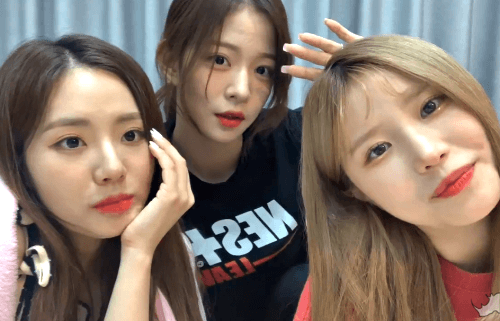오늘자 프로미스나인 V앱 삐융즈.GIF | 인스티즈