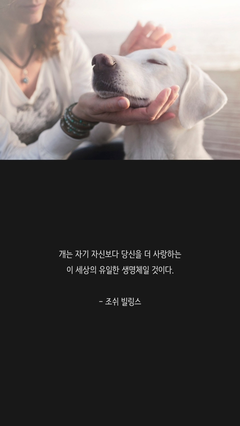 반려견에 관한 명언 | 인스티즈