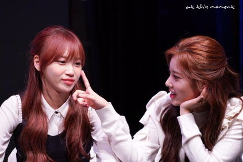 아이즈원) 워뇽광배쌈무 | 인스티즈