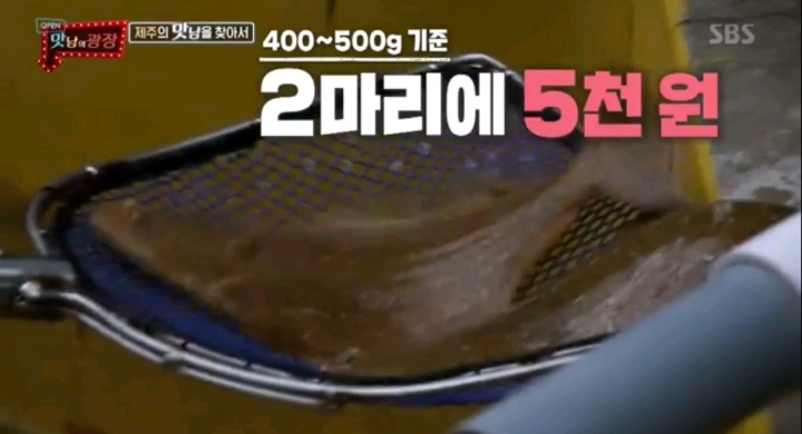 양식장에서의 광어 가격 | 인스티즈