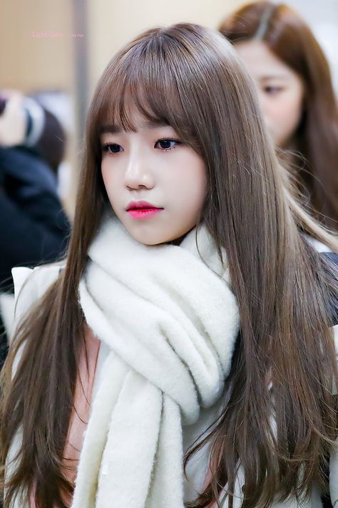아이즈원 쪼율.jpgif | 인스티즈