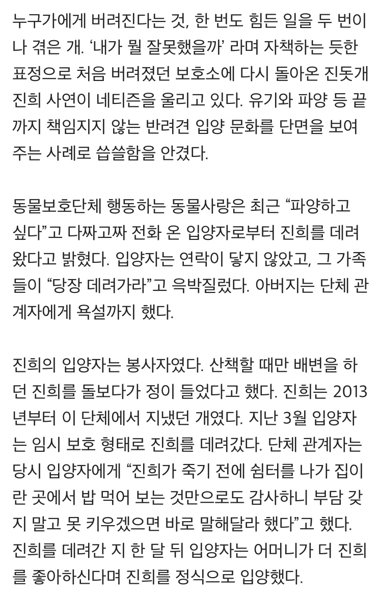 파양돼 보호소 다시 돌아온 진돗개의 표정.jpg | 인스티즈