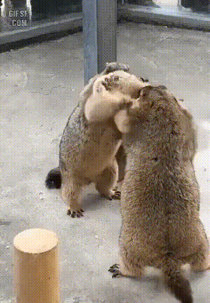 이 사람들아 좋게 술마시고 왜들 그려! | 인스티즈