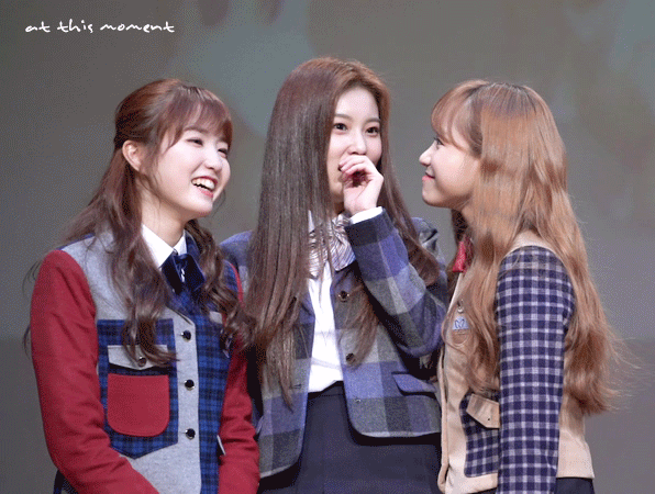 아이즈원) 조유리.. 김채원이.. 떽띠하다고? | 인스티즈