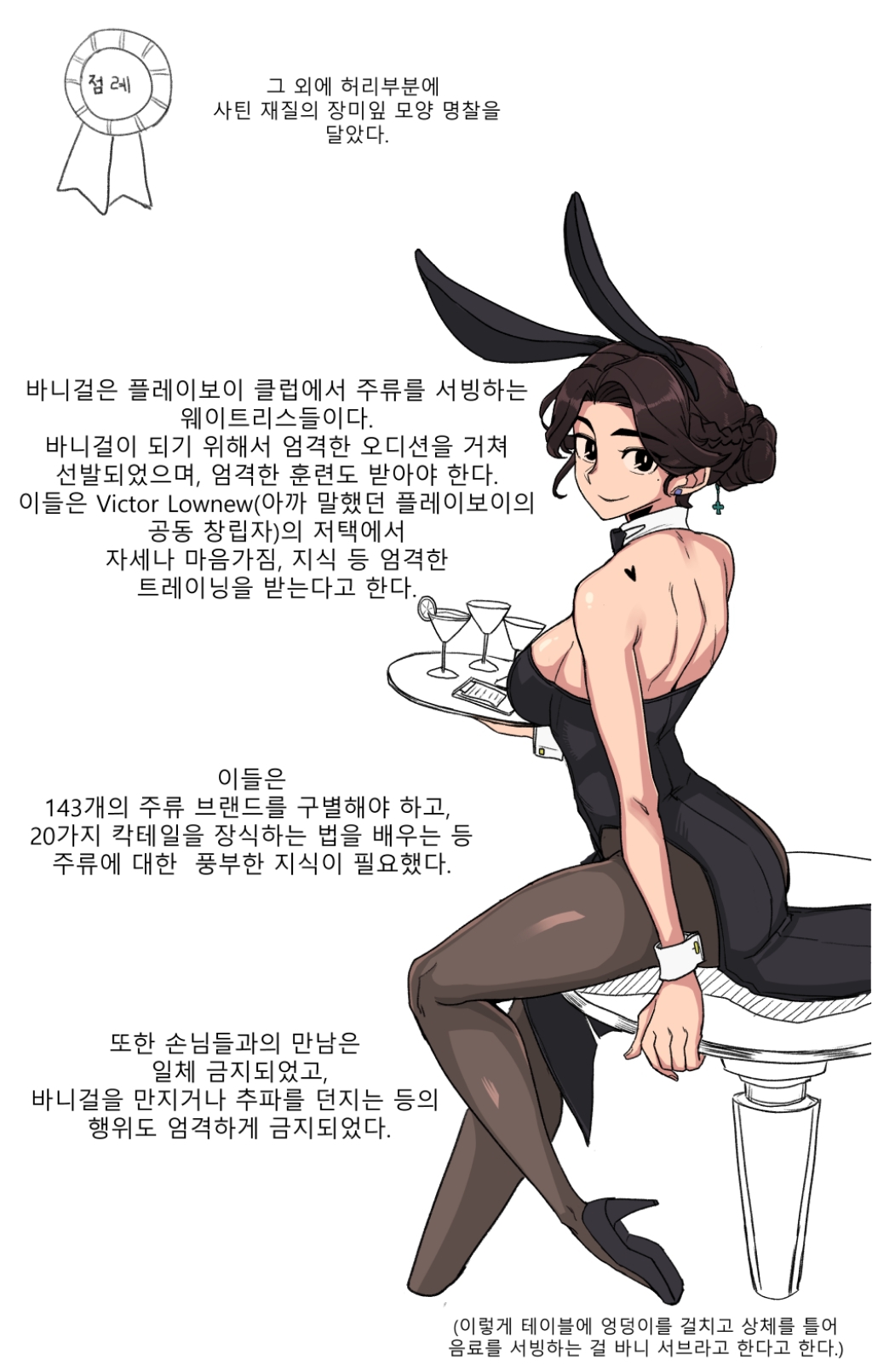바니걸에 대해 알아보는 만화.jpg | 인스티즈