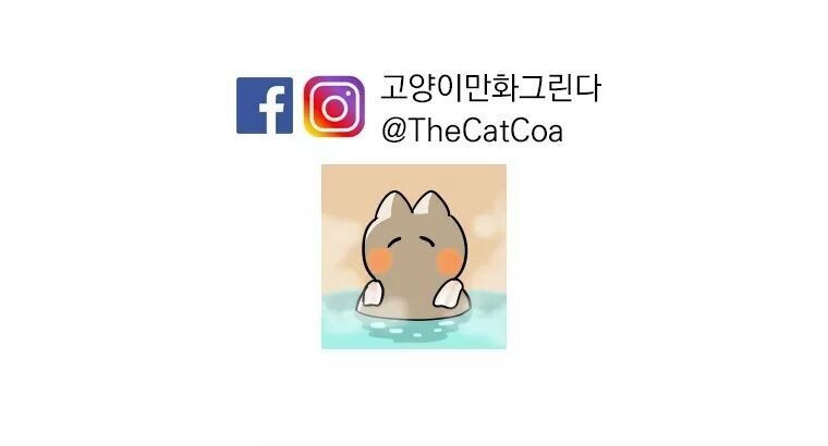 고양이의 털색이 정해지는 방법 | 인스티즈