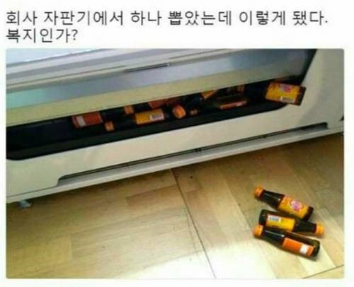 회사자판기에서 비타500 한개를 뽑았는데... | 인스티즈
