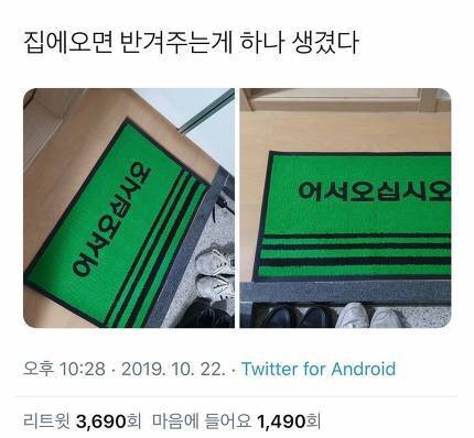 집에오면 반겨주는게 하나 생겼다 | 인스티즈