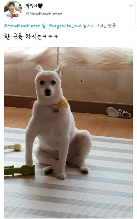 댕댕이 역변 레전드.jpg | 인스티즈