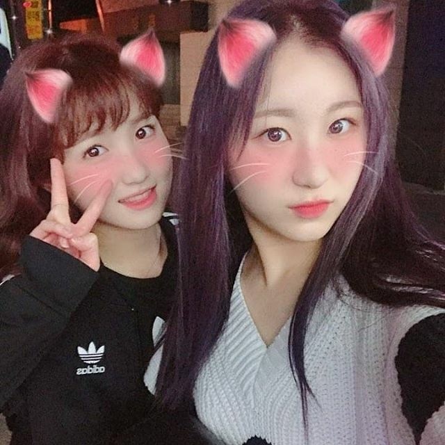 크리스마스라서 아이즈원 | 인스티즈