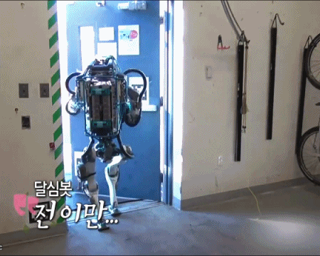 [나혼자산다] 모델 워킹만 가능한 달심봇.jpgif(19MB) | 인스티즈