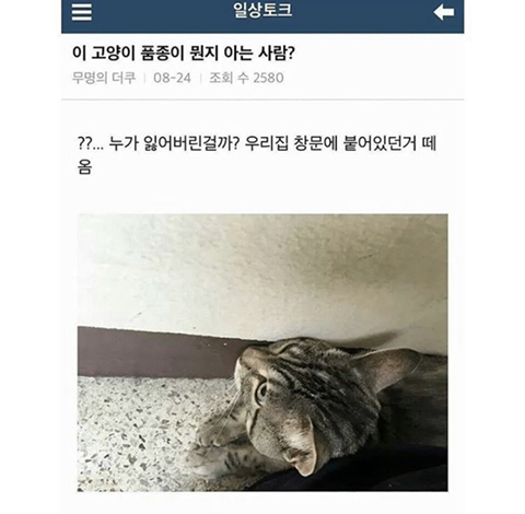 우리 집 창문에 붙어있던거 떼옴.jpg | 인스티즈
