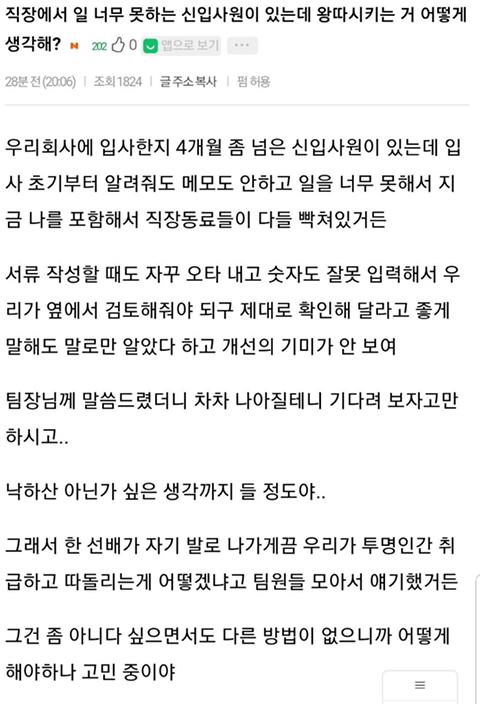 직장에서 일 너무 못하는 신입사원 왕따시키는거 어떻게 생각해.jpg | 인스티즈