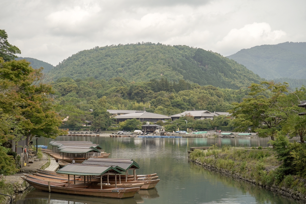 2018년 찍었던 사진 중 맘에 드는 것들 | 인스티즈