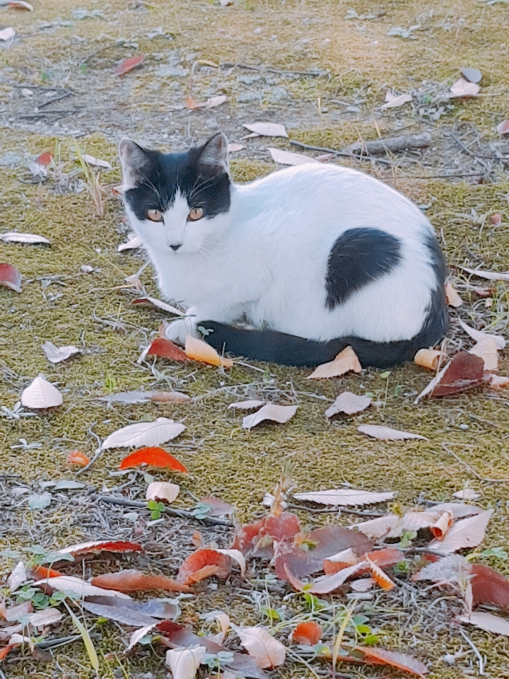 이거시 발리우드다.gif | 인스티즈