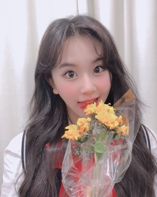 트와이스 채영 인스타그램 | 인스티즈