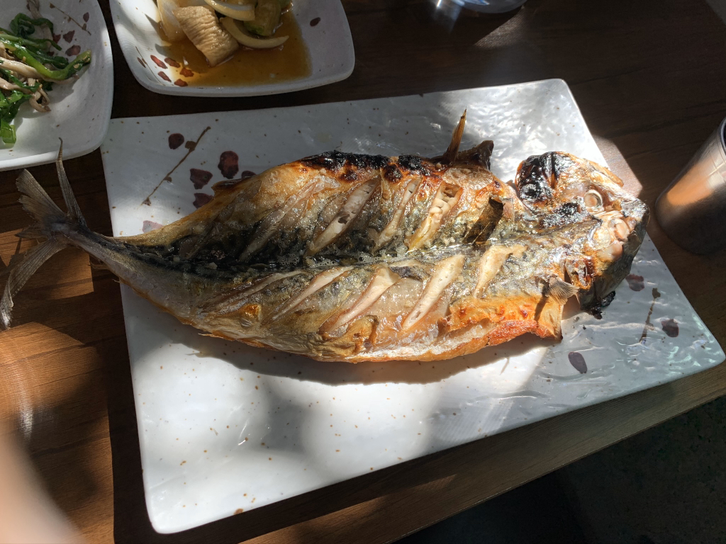 제주도 여행 마지막 날.. | 인스티즈