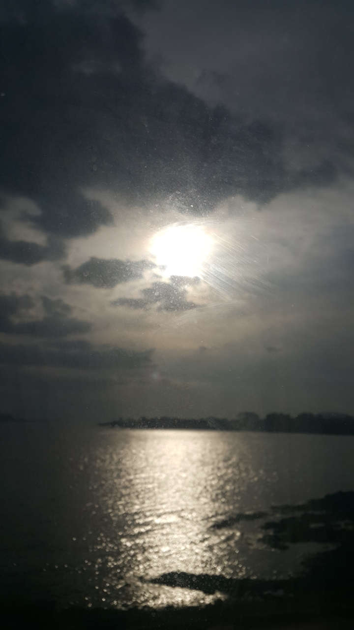 아래에 너무 멋진 사진이 있어서 저도 아무 사진 올려봄 (정말 아무 사진 주의) | 인스티즈