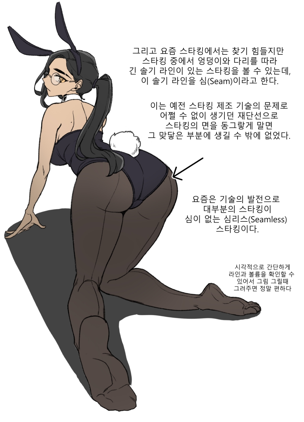 바니걸에 대해 알아보는 만화.jpg | 인스티즈