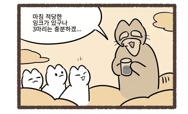 고양이의 털색이 정해지는 방법 | 인스티즈