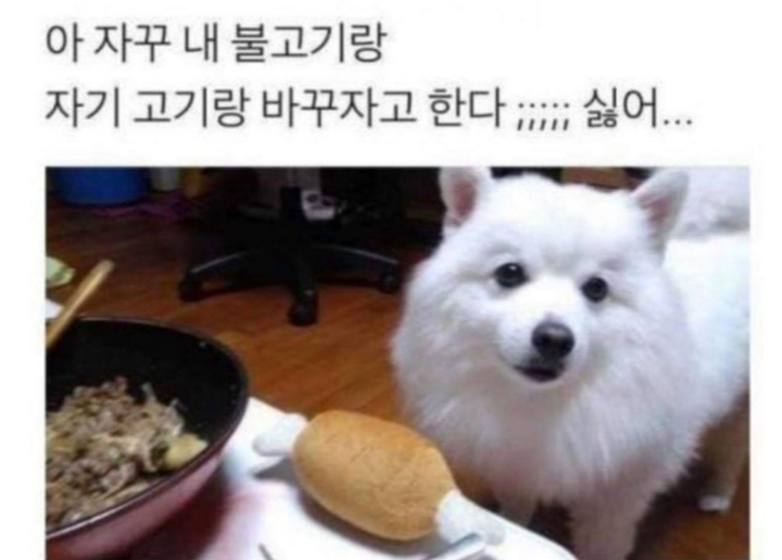 딜을 원하는 댕댕이 | 인스티즈