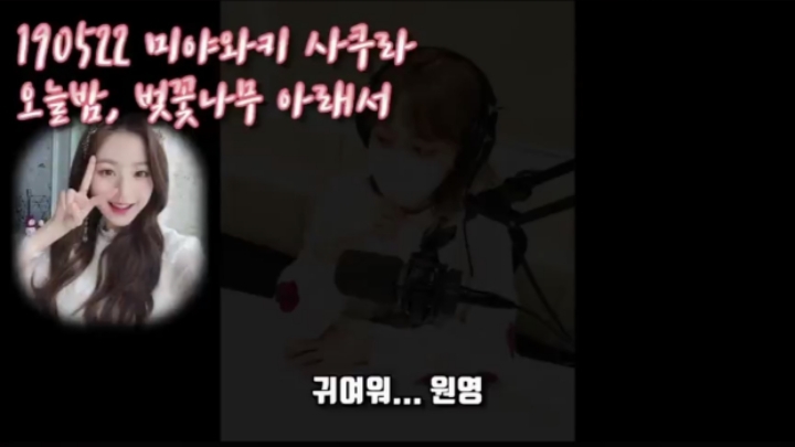 아이즈원) 사쿠라의 멤버 주접 1탄 (막내토끼 장원영) | 인스티즈