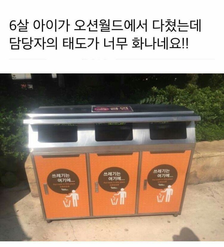 6살 아이가 오션월드에서 다쳤는데 | 인스티즈