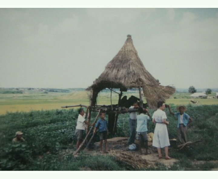 1960년대 이전의 수원 풍경.jpg | 인스티즈