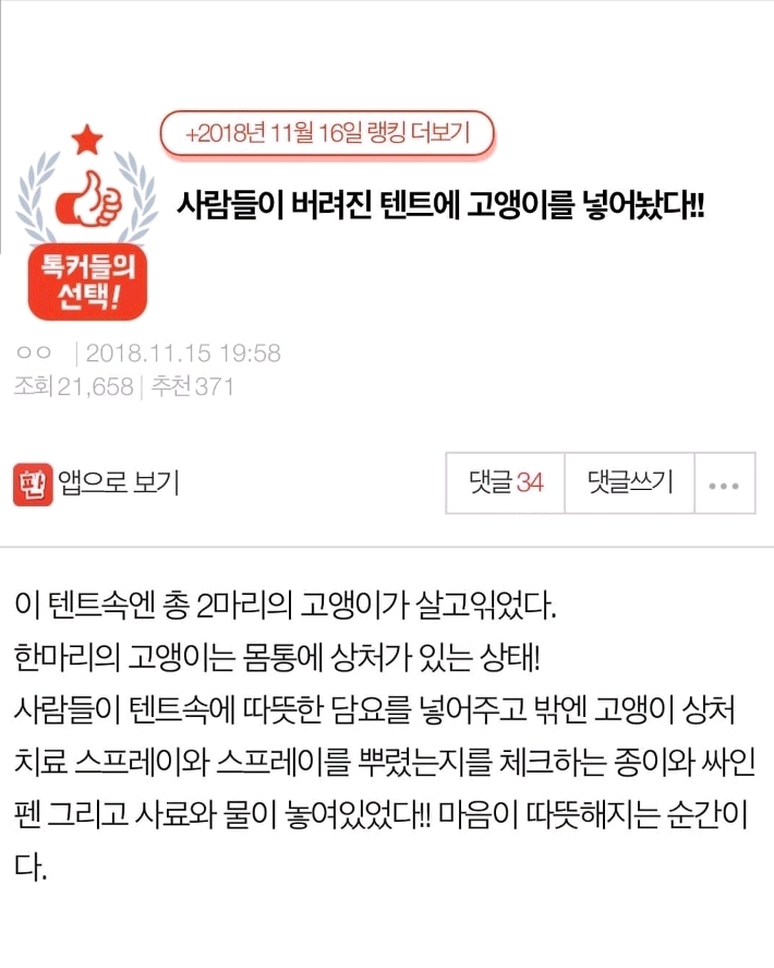 사람들이 버려진 텐트 안에 고양이를 넣어 놨다.jpg | 인스티즈