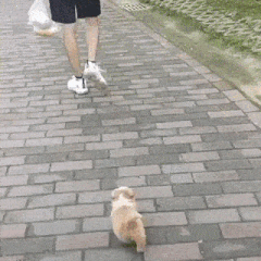 나 안고가라 걷기 힘들다 | 인스티즈