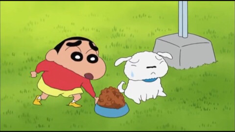 흰둥이가 살쪘어요.jpg | 인스티즈
