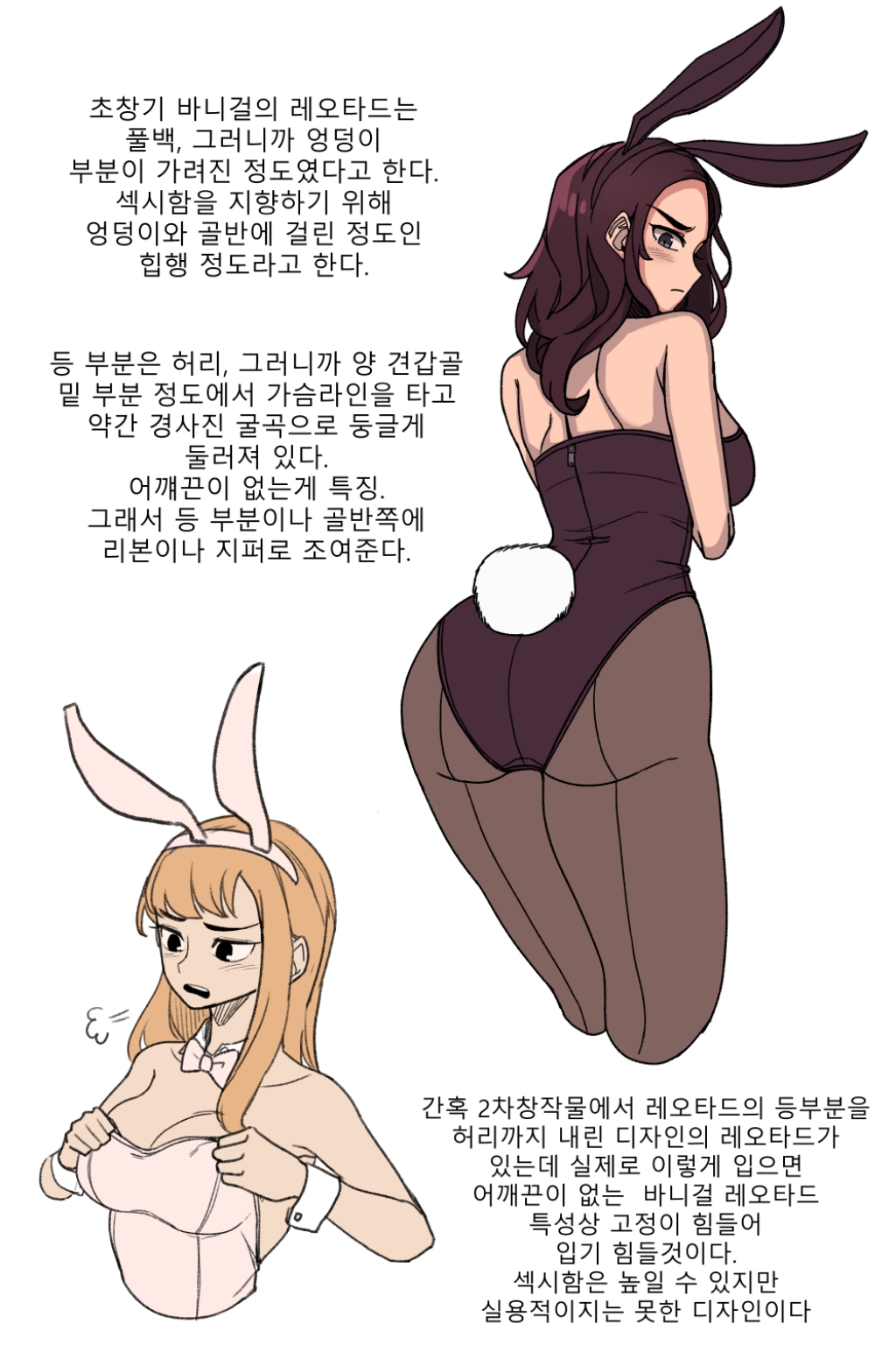 바니걸에 대해 알아보는 만화.jpg | 인스티즈