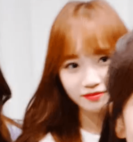 잔망과 쌈아치 그 사이 어딘가의 쌈무 아이즈원 김채원.jpgif | 인스티즈