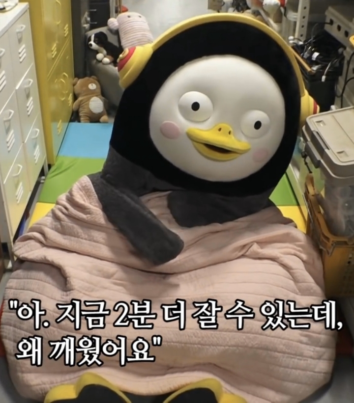  펭수 짤 모음 | 인스티즈