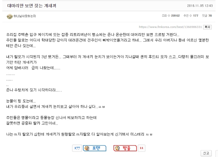 대머리만 보면 짖는 .jpg | 인스티즈