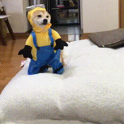 할로윈 미니언즈 | 인스티즈