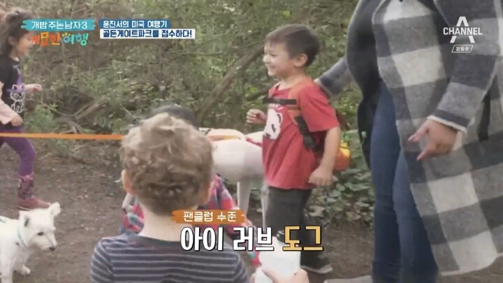 미국여행 간 진돗개의 인기.jpg | 인스티즈