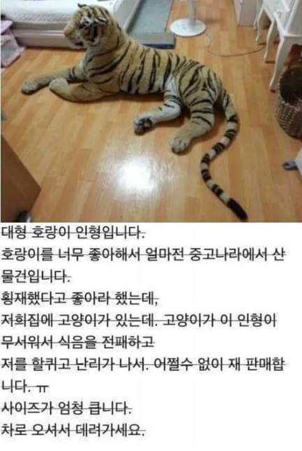 메랑이 인형 팝니다 | 인스티즈