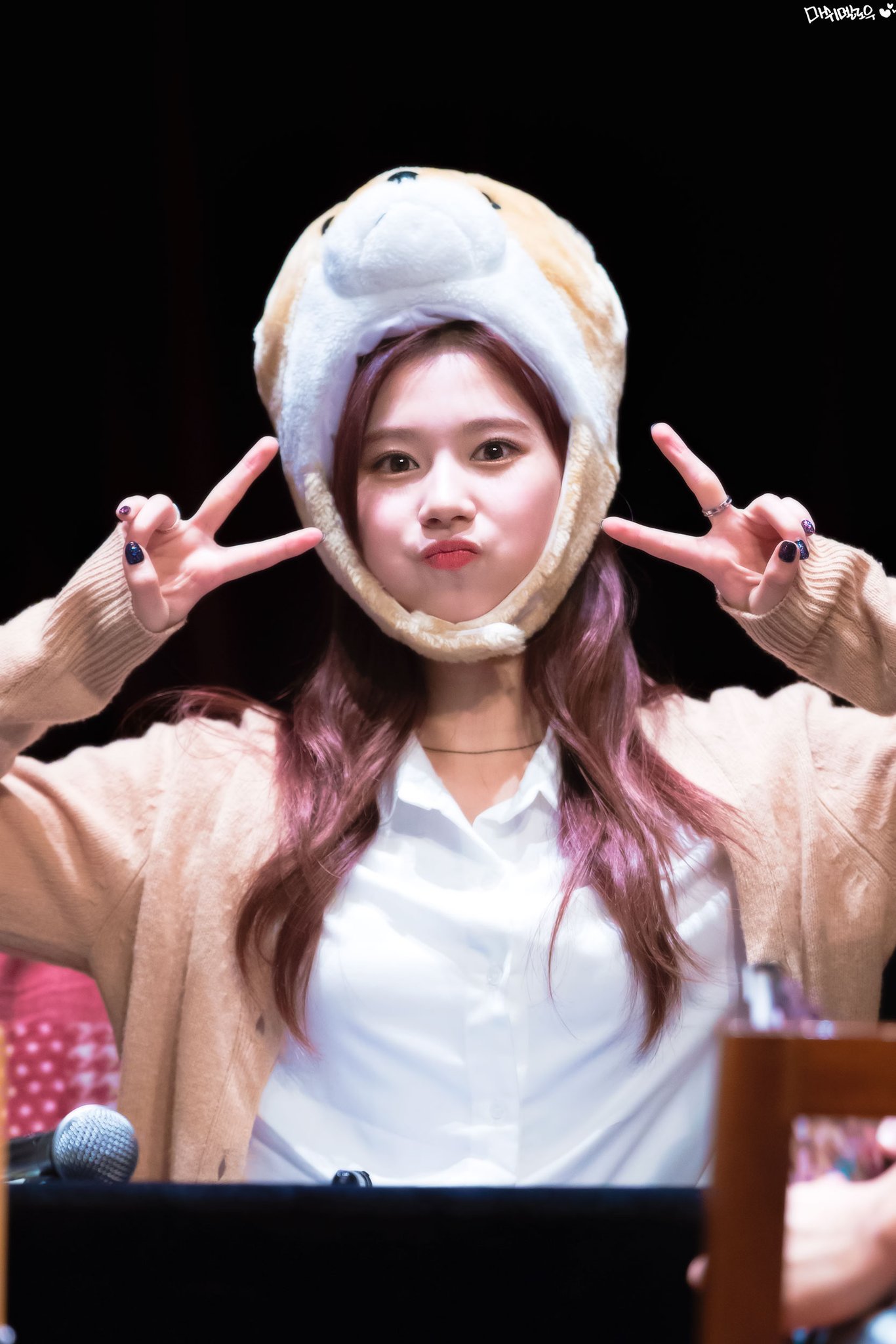 잔망스러운 트와이스 사나.jpgif | 인스티즈