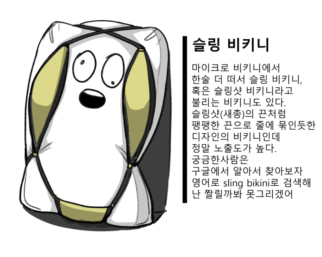 수영복에 대해 알아보는 만화.jpg | 인스티즈