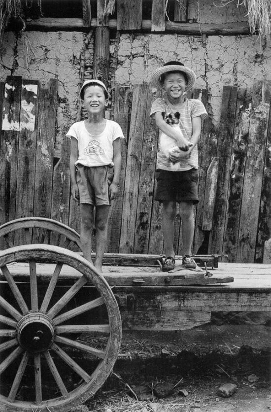 1970년대...한국의 댕댕이들....jpg | 인스티즈