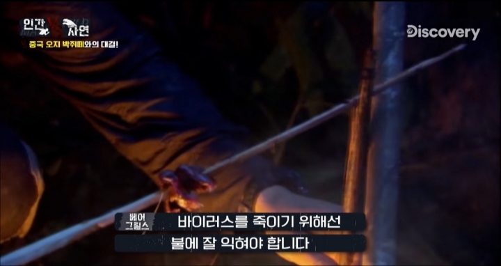 베어그릴스가 말하는 박쥐의 위험성 | 인스티즈